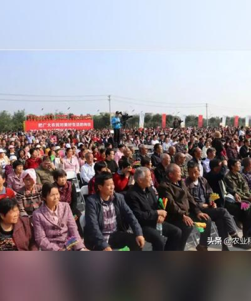 中农科测荣获多项行业奖项与认证，彰显卓越实力与不凡成就