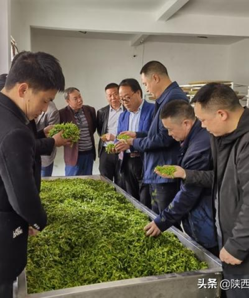 中农科测在农业科技领域的贡献