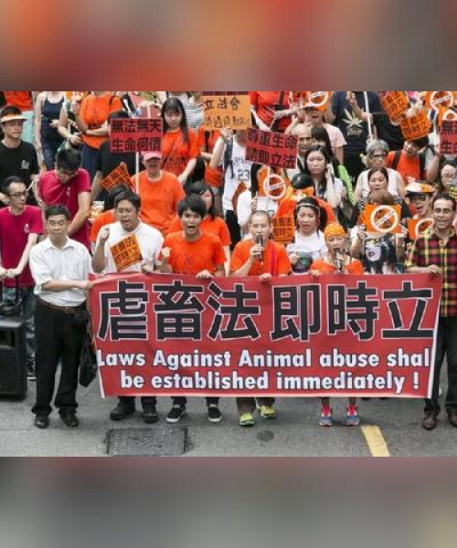 2025澳门天天彩正版免费｜迅速解答问题
