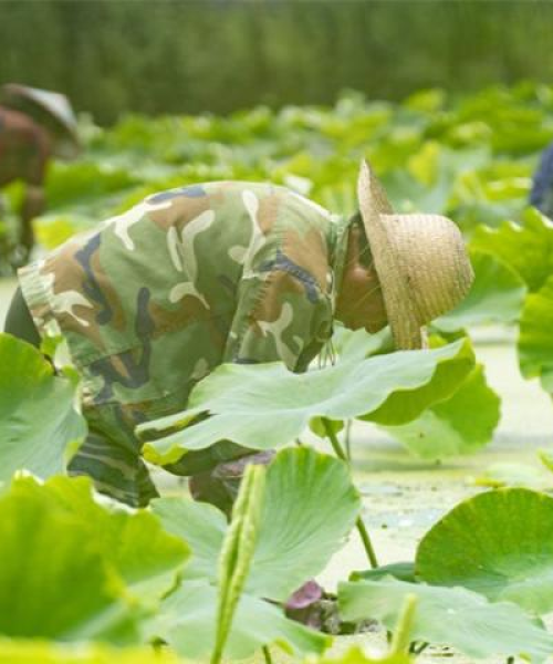 新余私立高校排名前十名——教育之光闪耀赣鄱大地