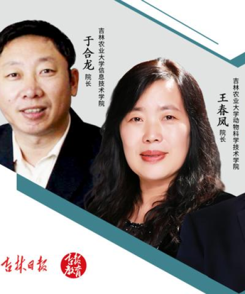 直播预告，今日内容全新呈现，带你领略科技与农业的融合之美