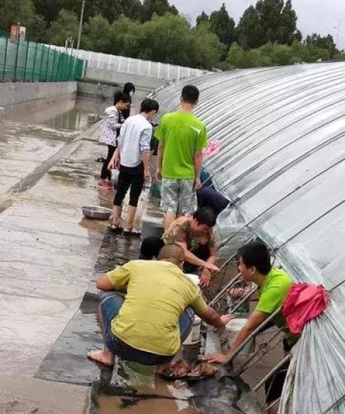 寿光积水新闻头条，最新数据报告揭示，积水深度超过XX米，紧急应对措施正在实施