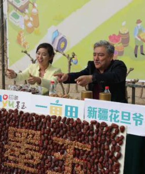 广东大宗贸易公司排名及行业分析