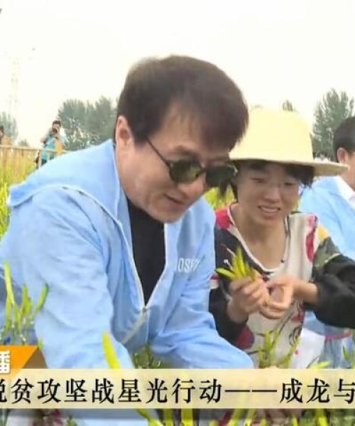 成龙励志语录，以行动铸就人生传奇