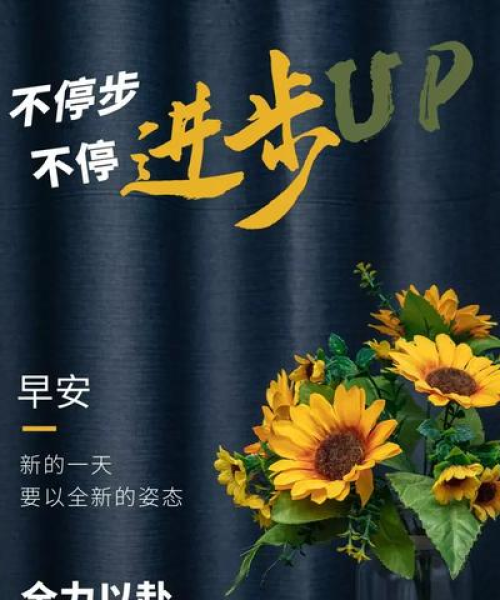 卑微的励志之路，从数据看成长