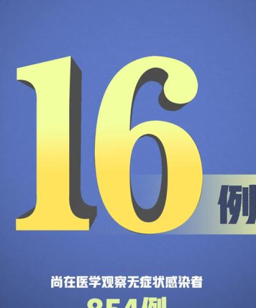 澳门天天好246好彩944[公证结果]11-40-45-12-46-22 T：08