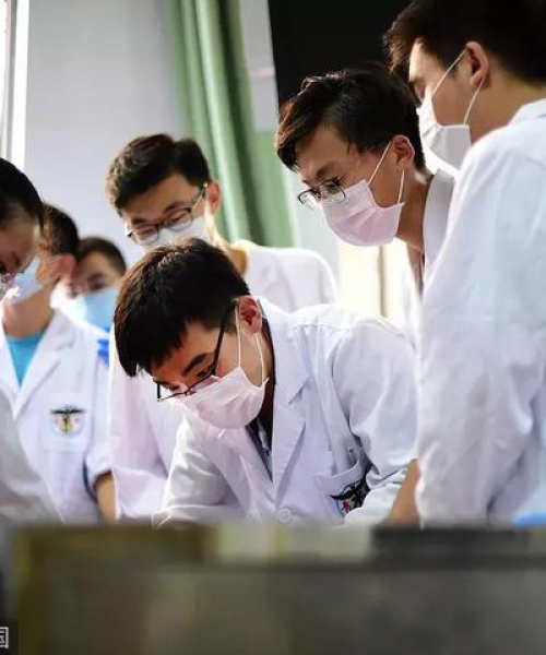 临沂休学政策最新通知电话——全面了解休学政策，关爱学生成长之路