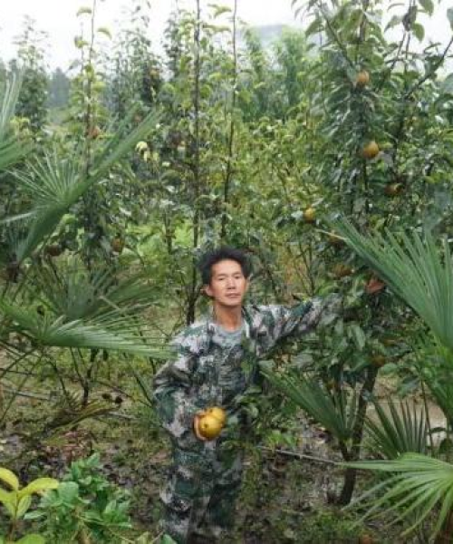 中农科测（成都）科技有限公司 —— 北海新闻头条深度解析（10.1）