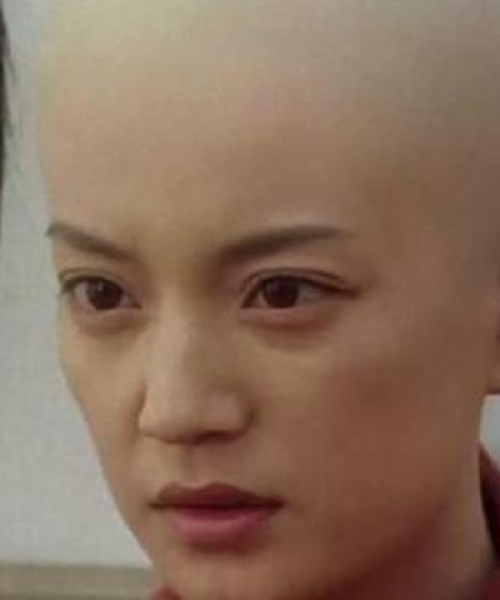 阿梅励志语录大全，以数据与行动铸就成功之路
