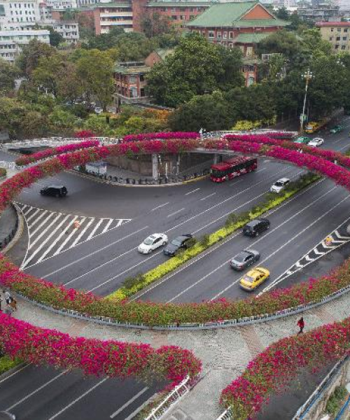 发达城市世界排名，揭示繁荣与活力的全球格局