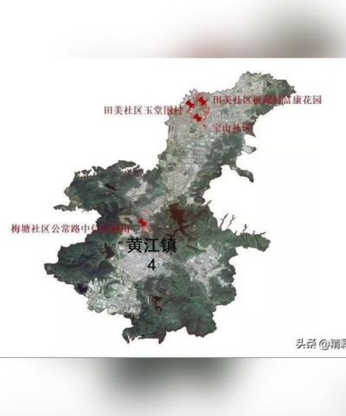 今日东莞确诊名单最新报道