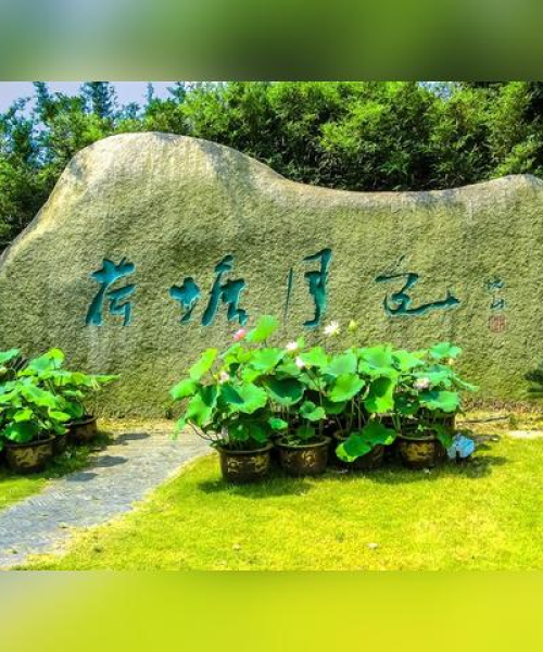 最新黄桥钓鱼收费标准表