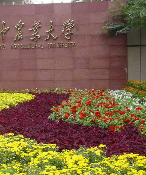 南京公司盈利排名揭晓，中农科测（成都）科技名列前茅