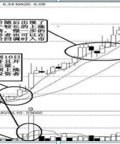 维护与支持 第12页