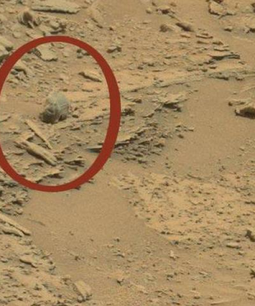 火星人今日消息最新消息