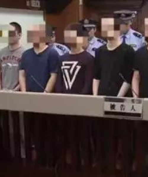 天价保险今日说法最新