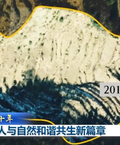 丽水移动钱包新闻头条，革新支付体验，引领智慧城市新篇章