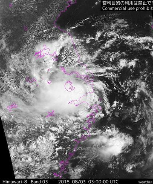 台风情况今日最新消息查询