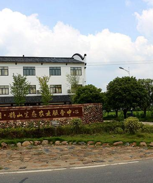 湖南头条新闻农村——数字背后的乡村振兴故事