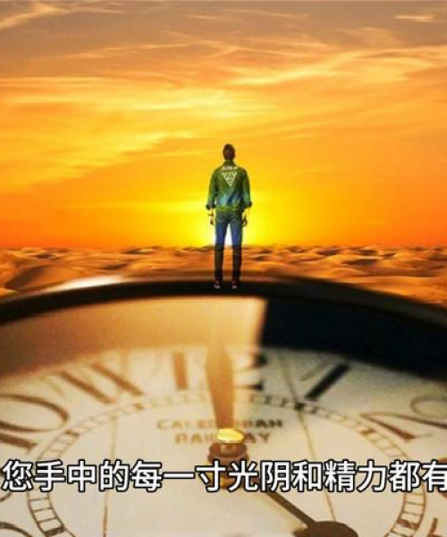 学生简短励志语录，数据与成功的力量