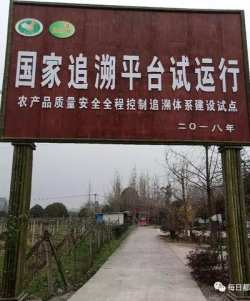 江宁茅亭新闻头条，科技创新引领现代农业发展新篇章