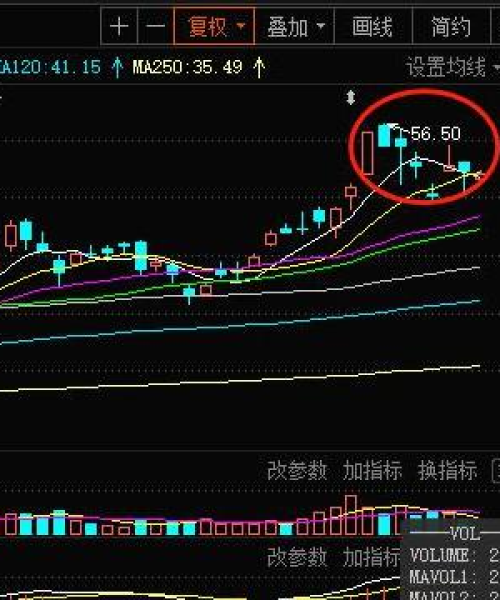 国美公司排名前十名及其业绩亮点