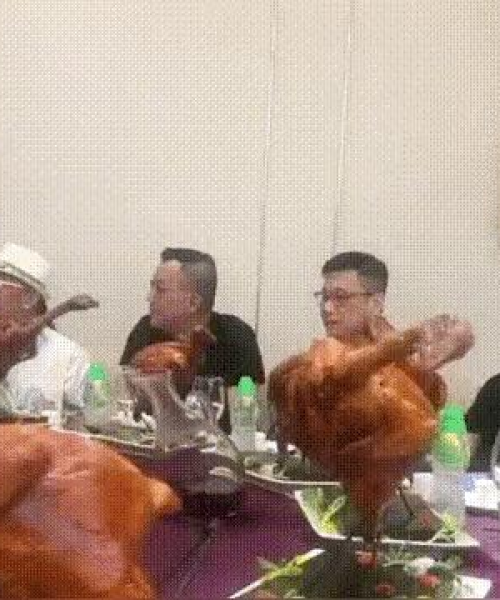 皮皮虾今日最新段子大揭秘，数据背后的娱乐狂欢！
