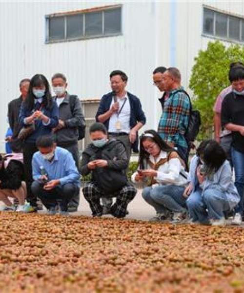 江西高压螺杆泵公司排名及行业分析