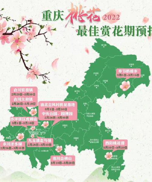 重庆感冒诊所排名前十名详解