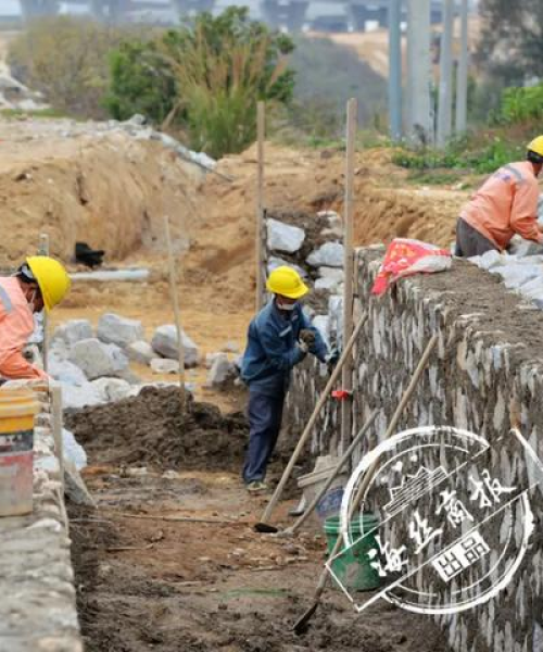 水头小学排名前十名学生公布
