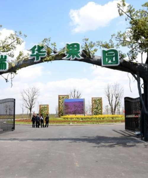 崇明烧烤排名前十名，哪些烧烤店最受欢迎？