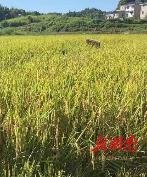 农业环境监测解决方案提供商——中农科测（成都）科技有限公司