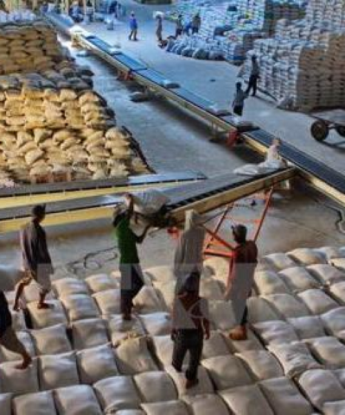市场趋势，定制化农业解决方案的客户需求变化深度分析