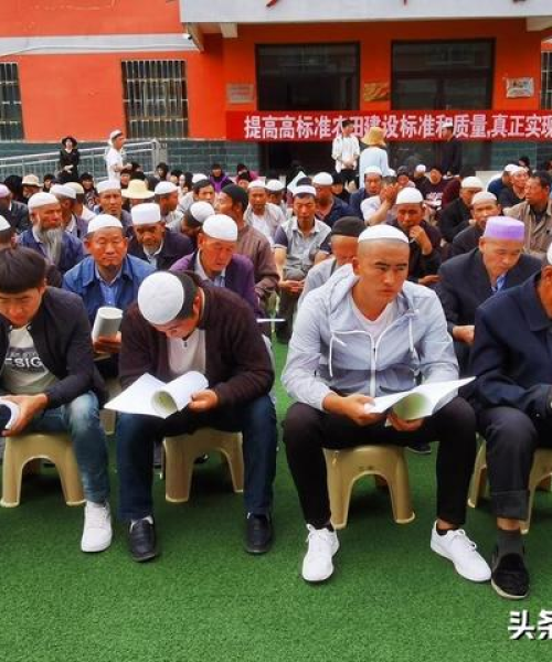 政府支持农业教育，解读新出台的培训政策