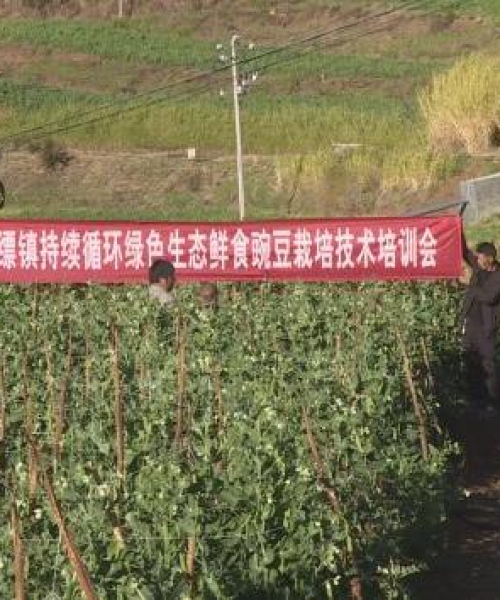 中农科测在农业科技项目中的合作案例纪实