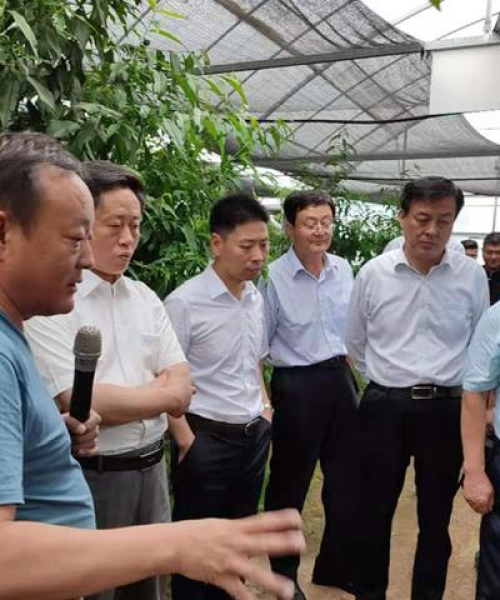 合作案例，共同打造现代化农业示范项目