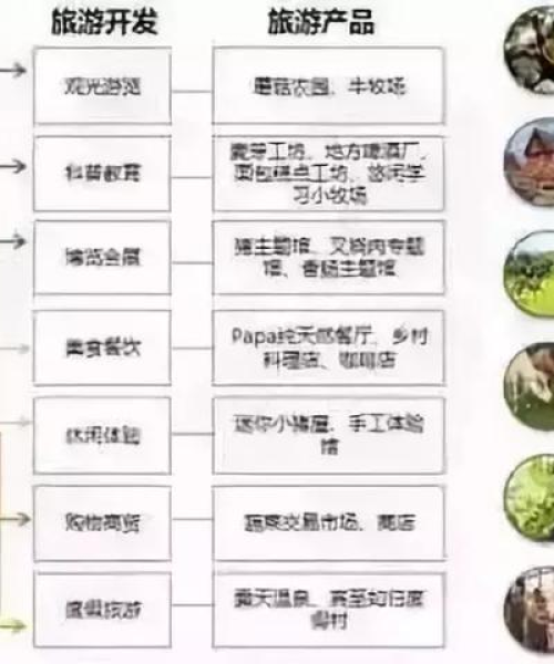 合作案例，农业科技解决方案的实地应用