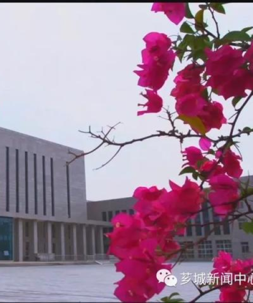 可持续农业的未来展望