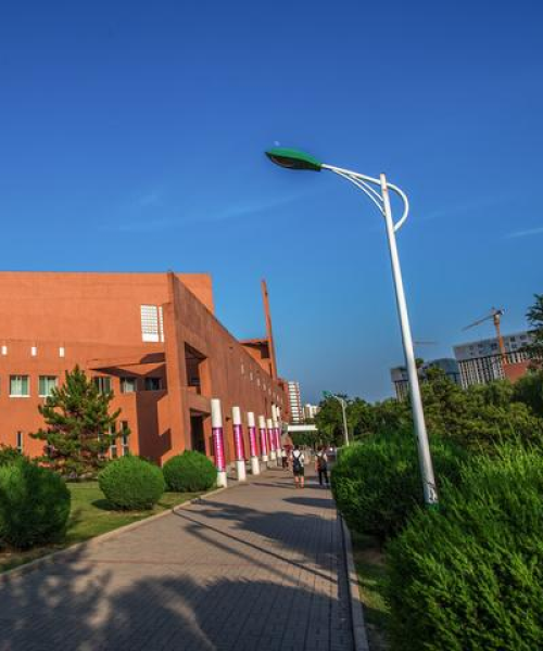 心理学大学世界排名及深度解析