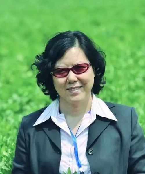 重磅发布短视频创作公司排名——权威数据揭示行业格局，中农科测科技引领潮流前沿！