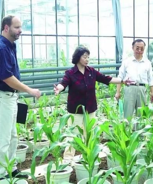 财富今日关注最新消息——中农科测（成都）科技有限公司引领农业科技新潮流