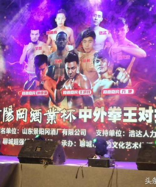 世界功夫拳王排名，揭示顶尖拳手的荣耀与实力