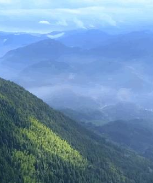 仙都景区新闻头条，盛大活动、创新突破与游客满意度飙升