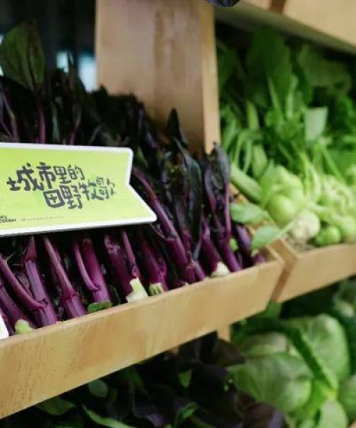 新闻头条报道解说，中农科测（成都）科技有限公司引领农业科技新革命