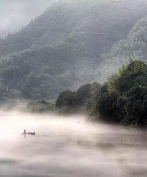 湖南今日鲈鱼价格最新行情分析