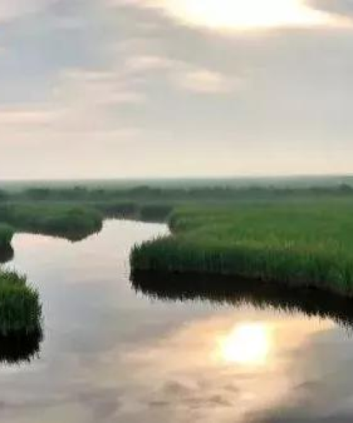 沧州负氧离子公司排名