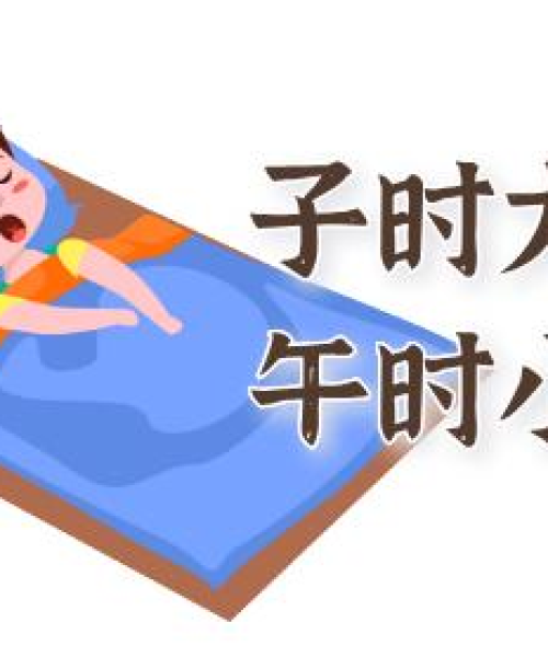 今日最新中午好表情，揭示背后的数据洞察与实际应用价值