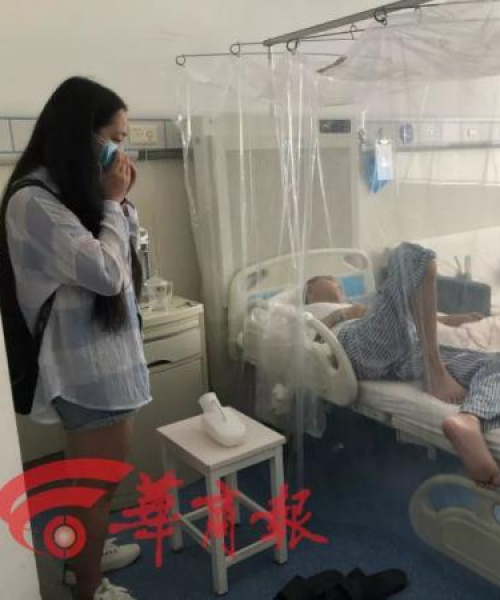 安康鸡蛋今日行情最新消息
