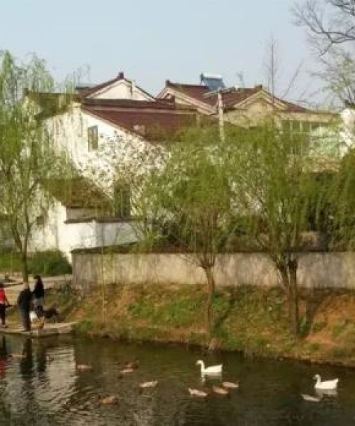 溧阳竹林公路最新消息新闻