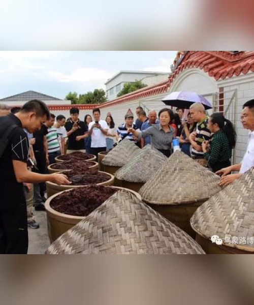 昭通去上海挂职人员名单最新公布